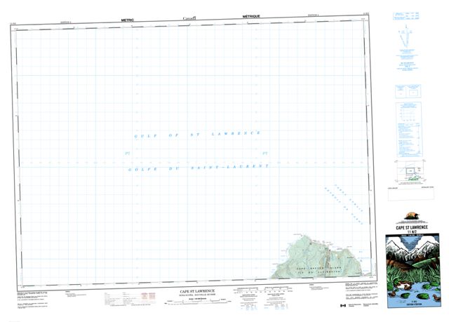 Cape St Lawrence Topographic map 011N02 at 1:50,000 Scale
