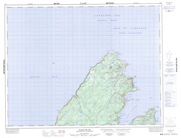 Fleur De Lys Topographic map 012I01 at 1:50,000 Scale