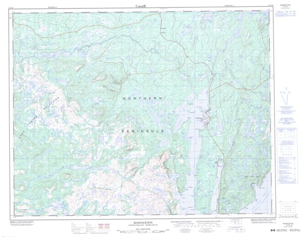 Roddickton Topographic map 012I16 at 1:50,000 Scale