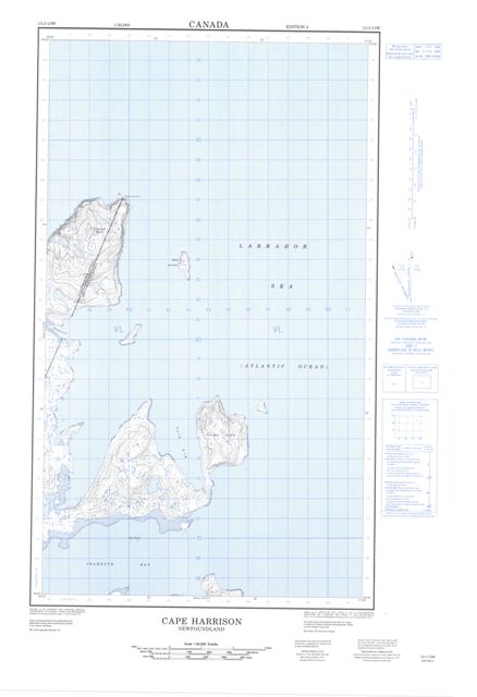 Cape Harrison Topographic map 013I13W at 1:50,000 Scale