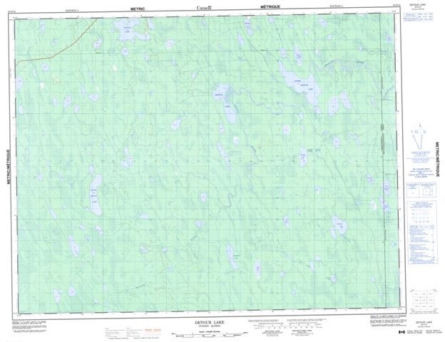 Detour Lake Topographic map 032E13 at 1:50,000 Scale