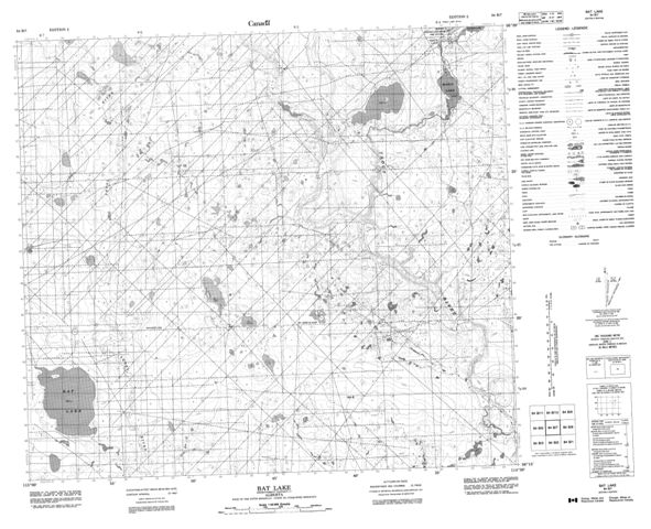 Bat Lake Topographic map 084B07 at 1:50,000 Scale