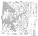 075O14 Tyrrell Point Topographic Map Thumbnail